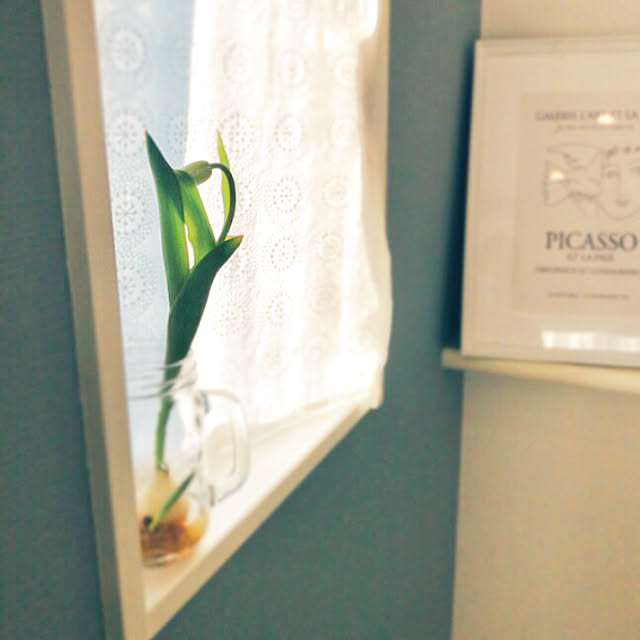 doremiさんの実例写真