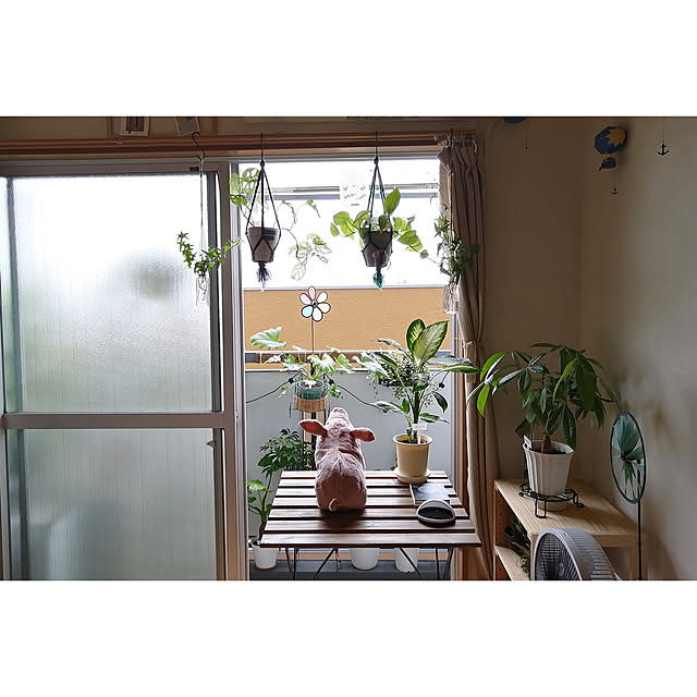 Viviさんの実例写真