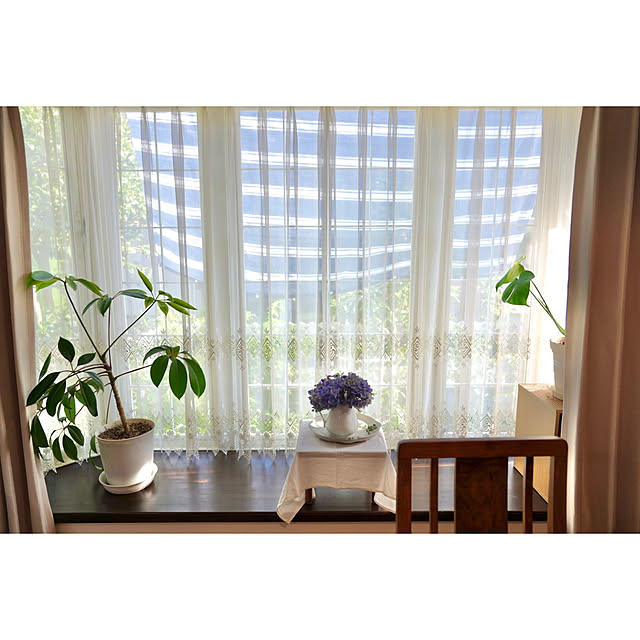 haruisabelさんの部屋