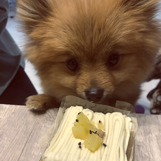 naaさんの実例写真