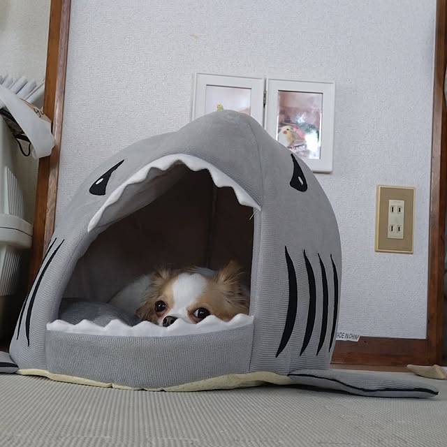 toratanさんの実例写真