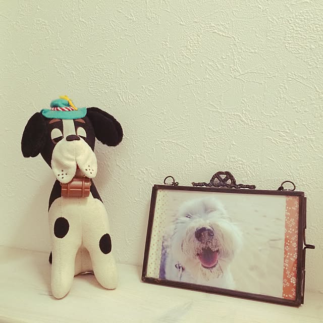 nuiさんの実例写真