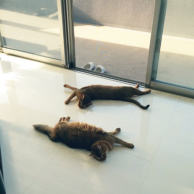 aco_64さんの実例写真