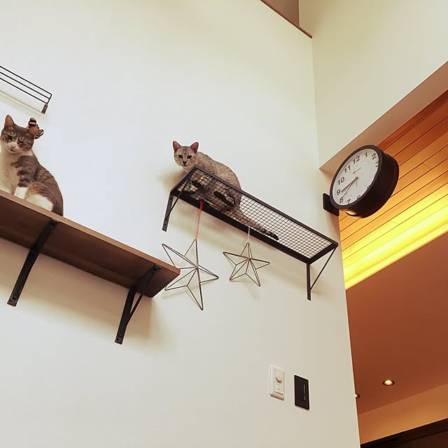 pepperさんの実例写真