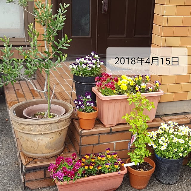 ichi-5さんの実例写真