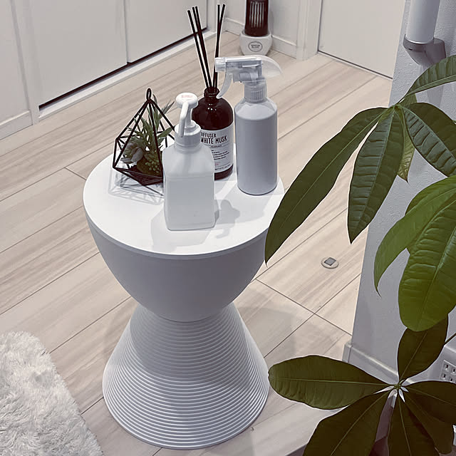 モノトーンインテリア/植物のある暮らし/一条工務店 アイスマート/一条工務店 ismart/観葉植物...などのインテリア実例 - 2022-10-09 15:42:02