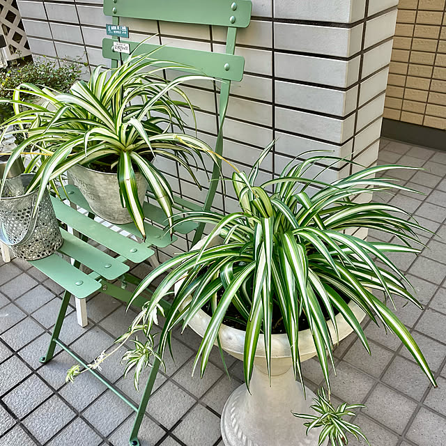 YuuKoさんの実例写真
