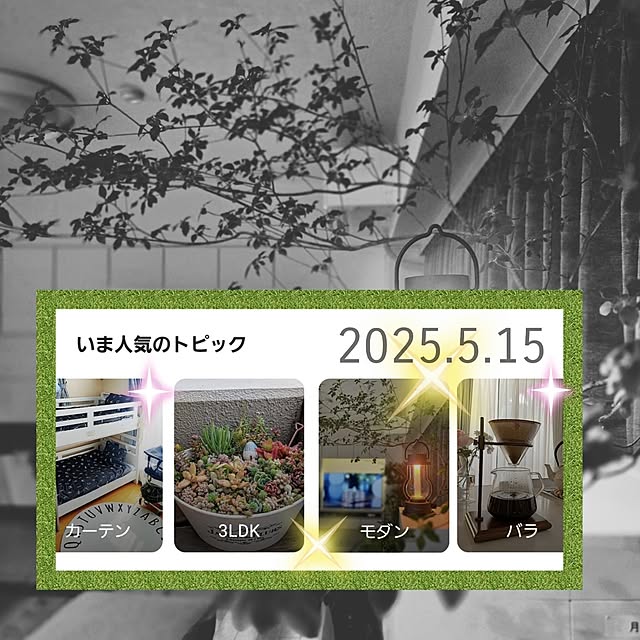 実例写真