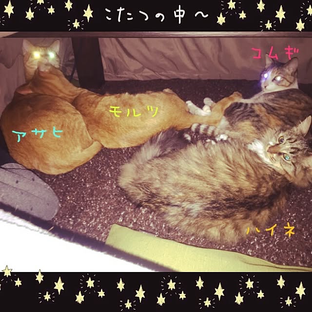 Minamiさんの実例写真