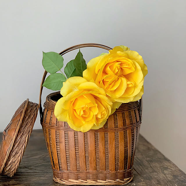 yomogiさんの実例写真