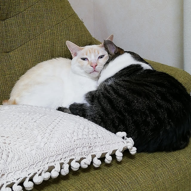 hasechangさんの実例写真