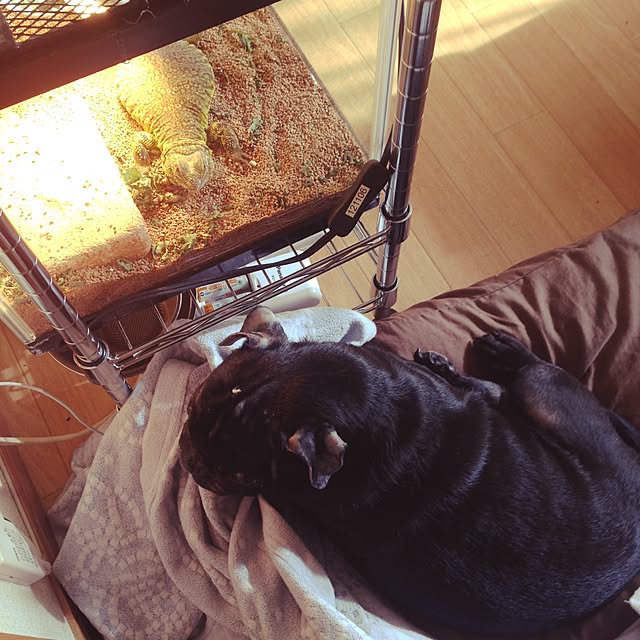 Marbleさんの実例写真