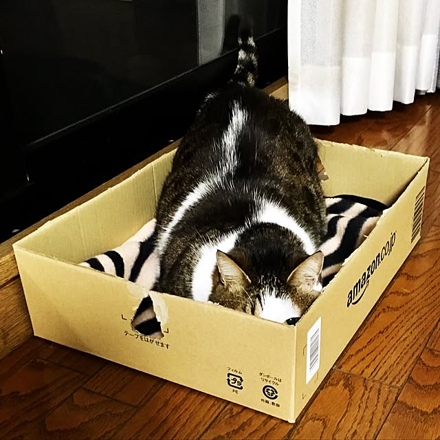 sachiさんの実例写真