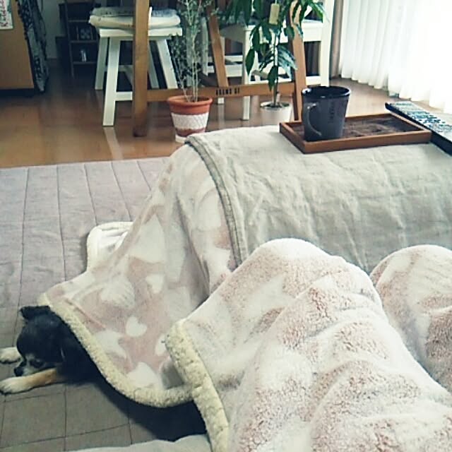 satominさんの実例写真