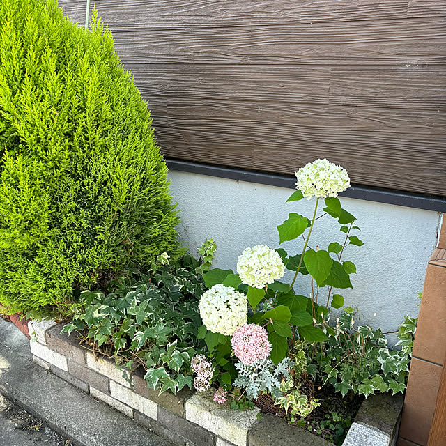 etooさんの実例写真