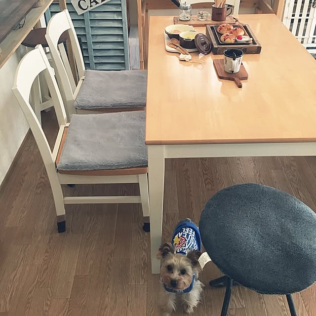 mayuoさんの実例写真