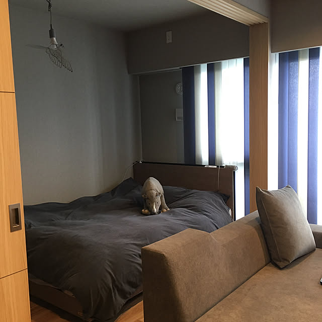 sasatsai61さんの実例写真