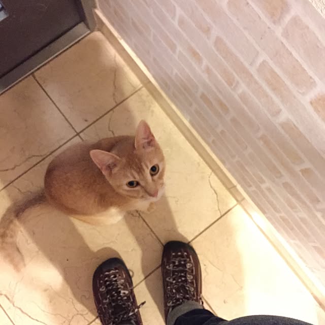 Yumiさんの実例写真
