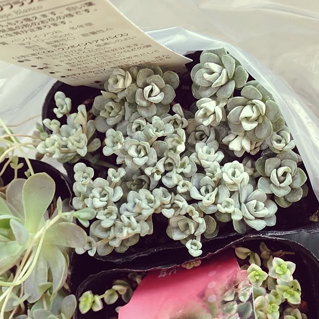 khsr86さんの実例写真