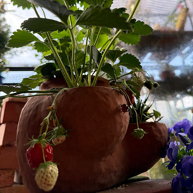 Aqettyさんの部屋