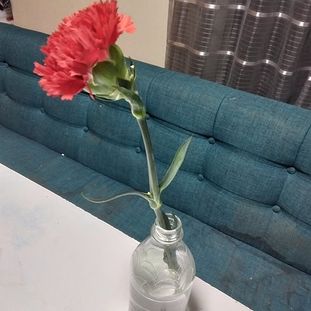 tomo3さんの実例写真
