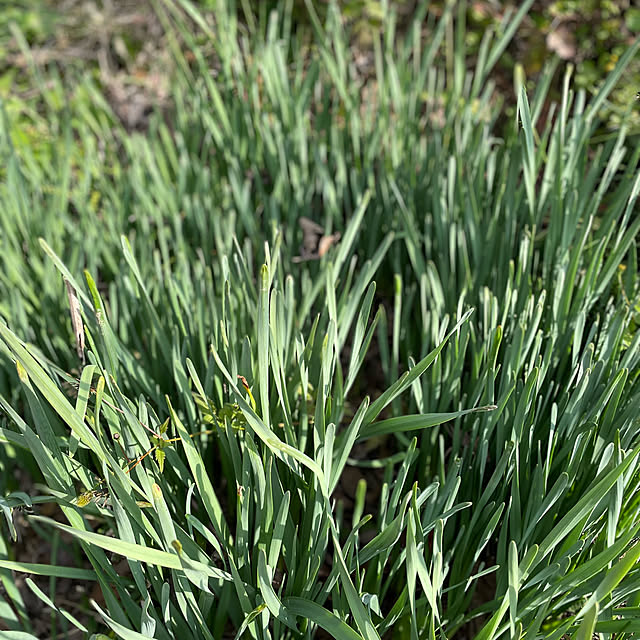 buchiさんの部屋