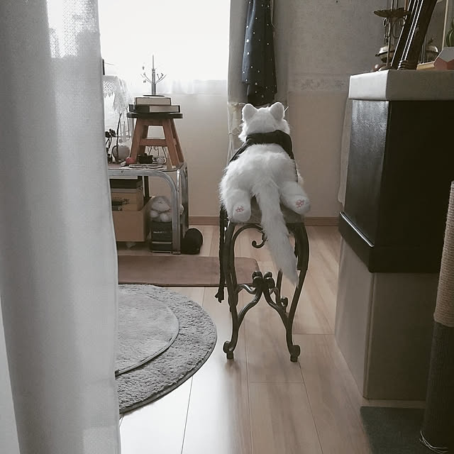 Miuさんの実例写真