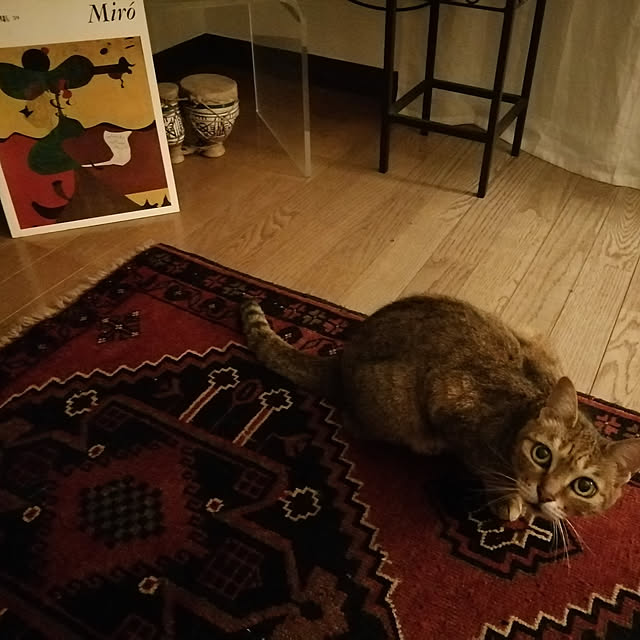 nahocさんの実例写真