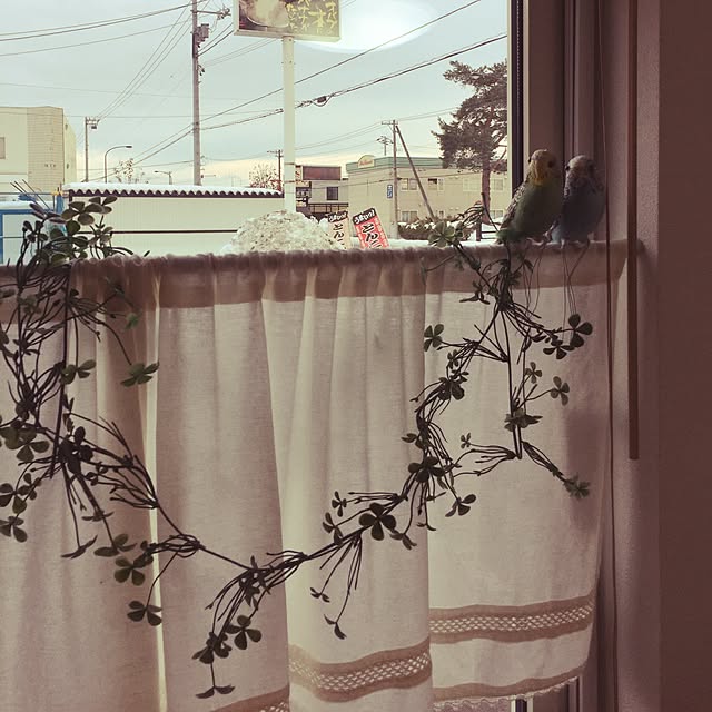 ZAKIさんの実例写真