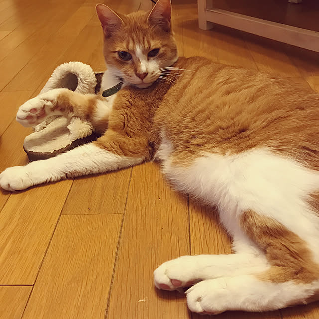 lavie0125さんの実例写真