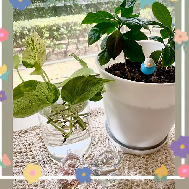 YuuKoさんの実例写真