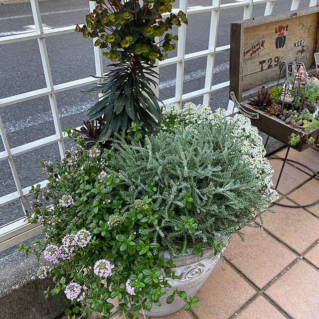 dainaoreiさんの部屋