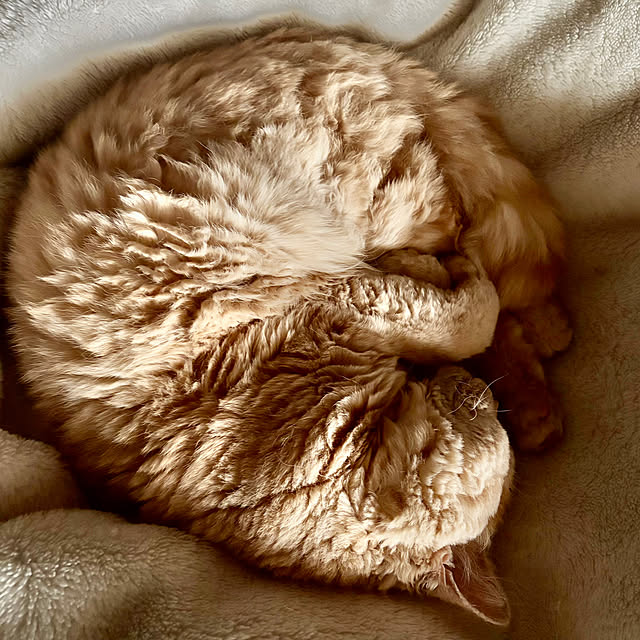 naokoさんの部屋