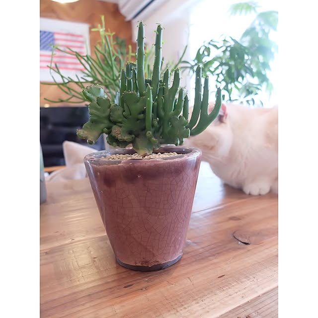 hara0707さんの実例写真