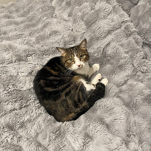 maimaiさんの部屋