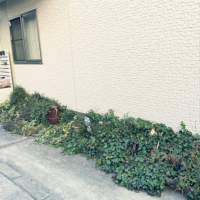 yuccaさんの実例写真