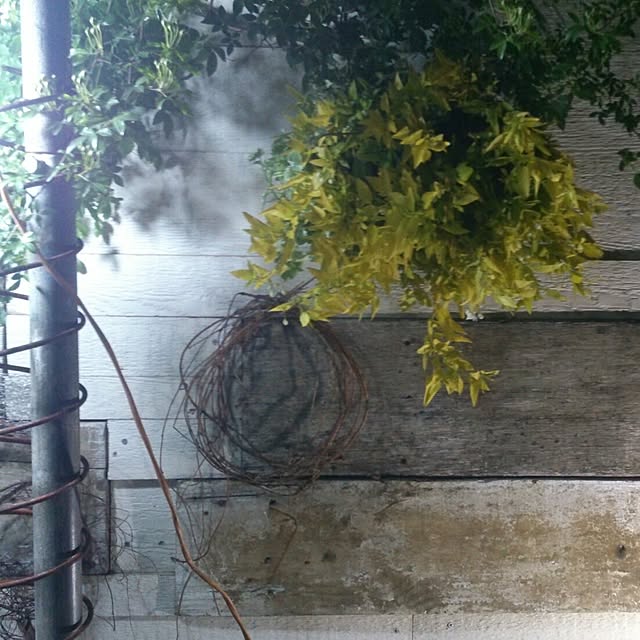 GreenWorksさんの実例写真