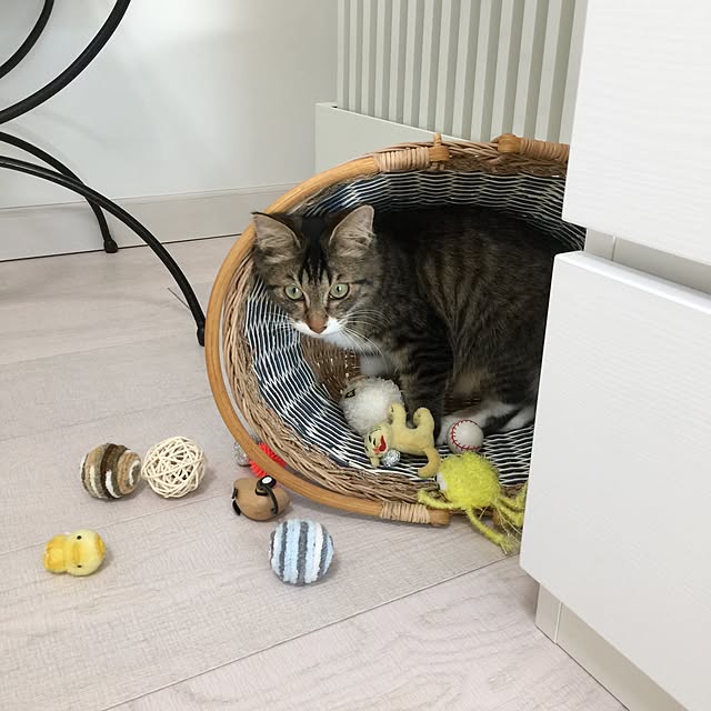 yuchiさんの実例写真