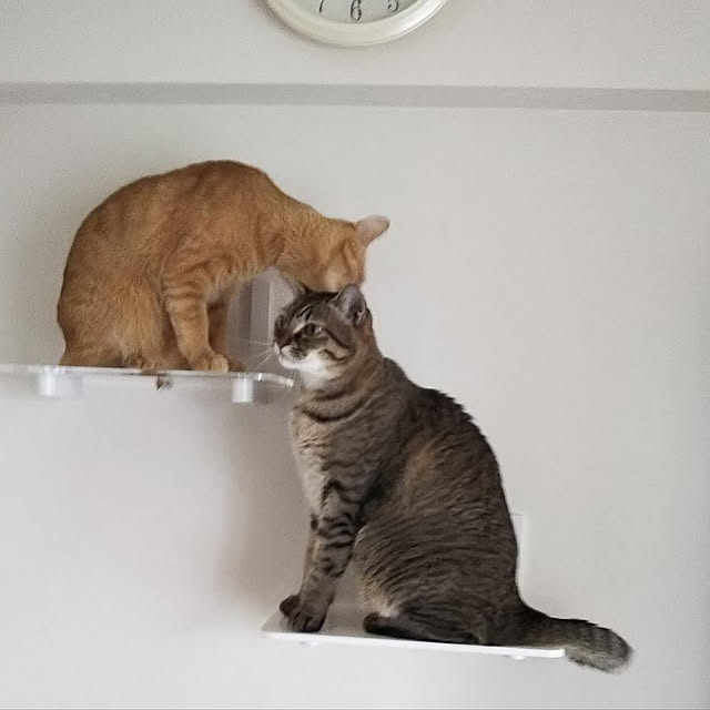 naturalさんの実例写真