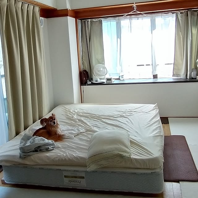 toratanさんの実例写真