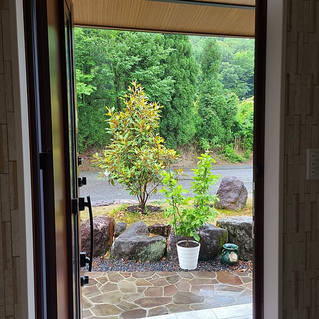 Rubiconさんの部屋