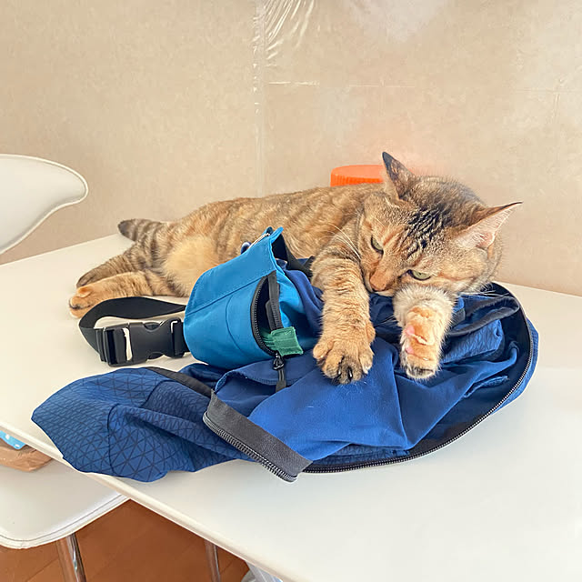hansho.sさんの実例写真