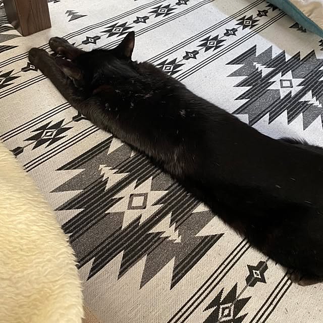 suyasuyaさんの部屋