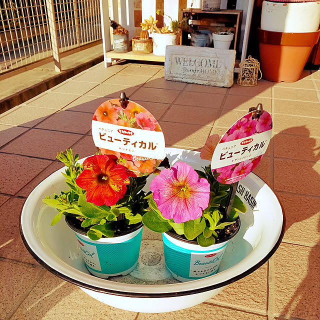 nene-laynyさんの実例写真