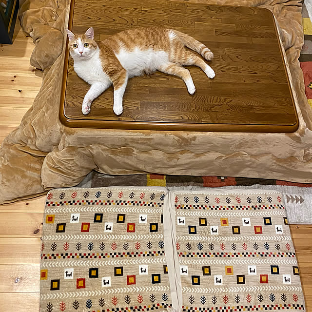 senbei.sakuramochiさんの実例写真