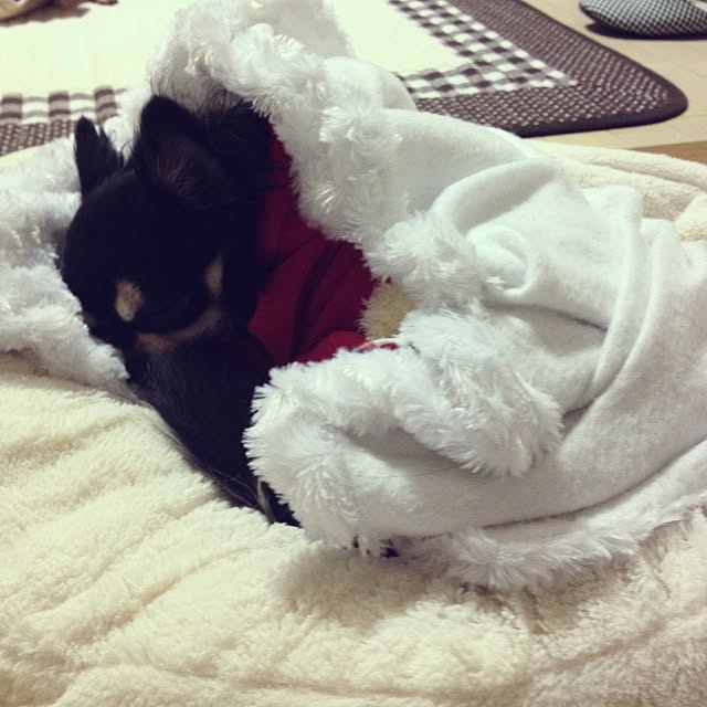 chocoさんの実例写真
