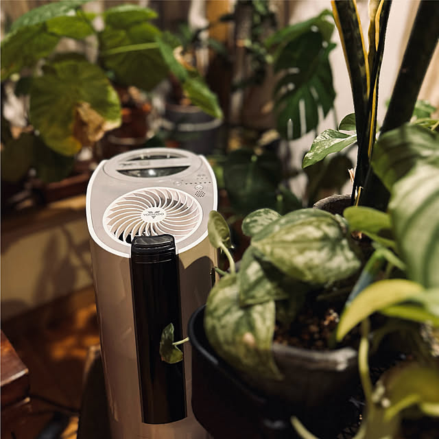 VORNADOJAPANさんの実例写真