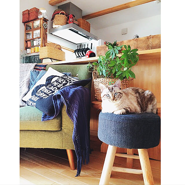mjさんの実例写真