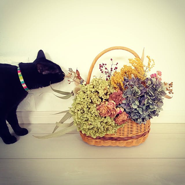 atelier_emaさんの実例写真