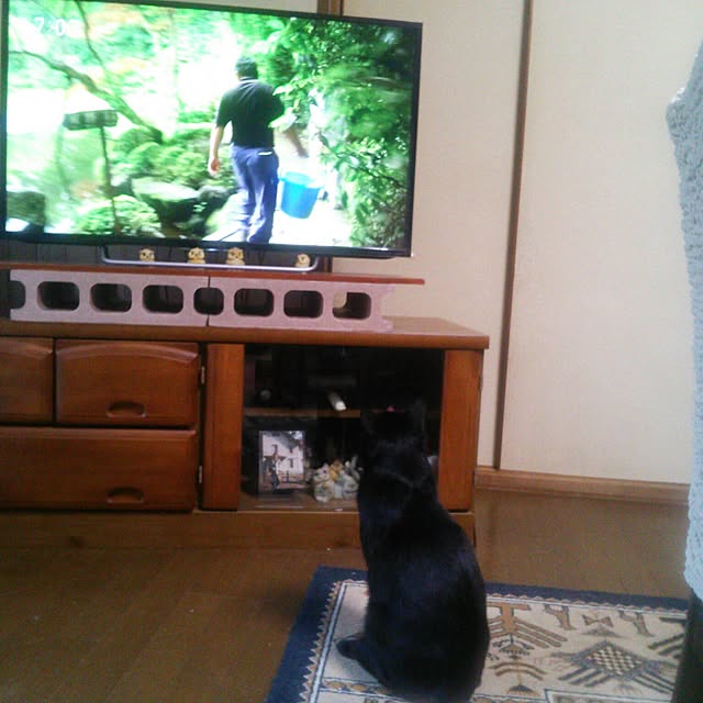 tomopさんの実例写真